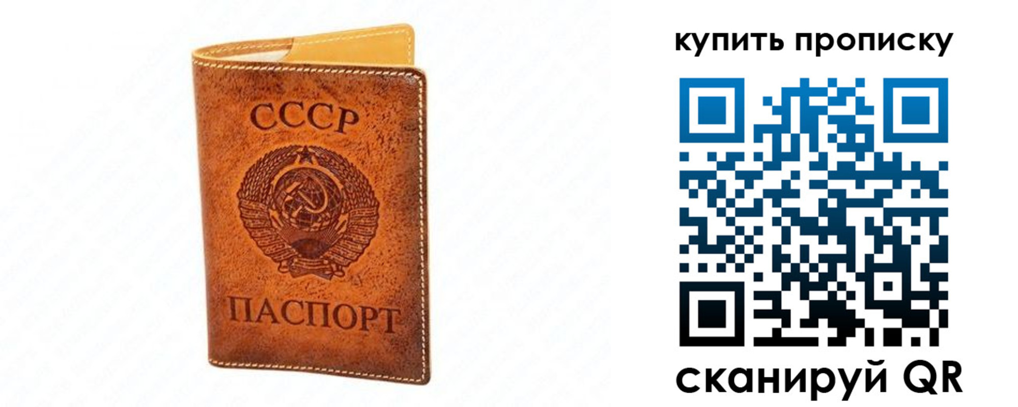 прописка поиск в Зиме