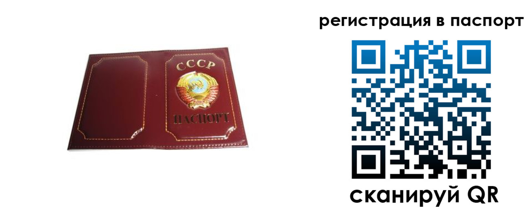 прописка 2025 в Зиме